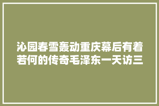 沁园春雪轰动重庆幕后有着若何的传奇毛泽东一天访三友