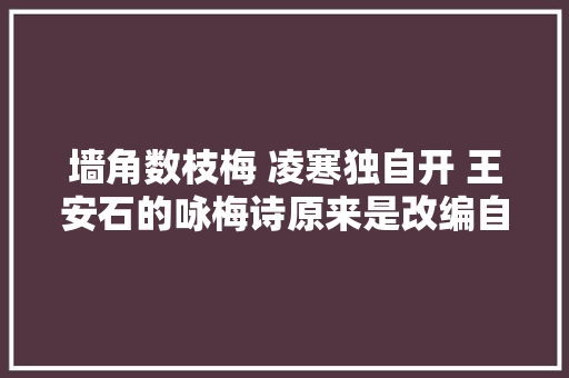墙角数枝梅 凌寒独自开 王安石的咏梅诗原来是改编自这首诗