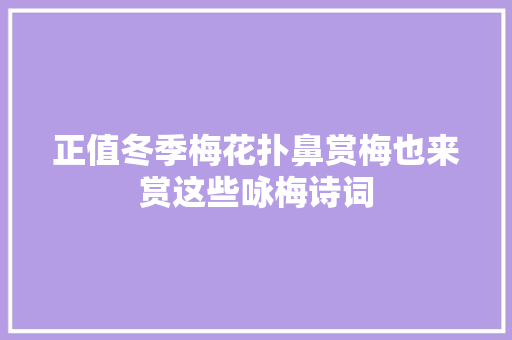 正值冬季梅花扑鼻赏梅也来赏这些咏梅诗词