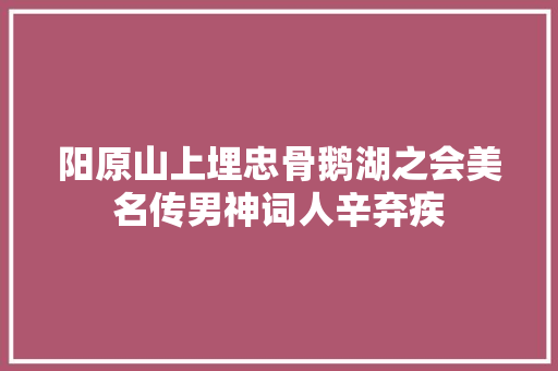 阳原山上埋忠骨鹅湖之会美名传男神词人辛弃疾