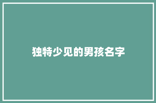 独特少见的男孩名字