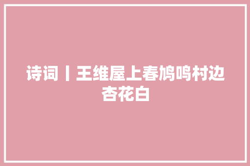 诗词丨王维屋上春鸠鸣村边杏花白
