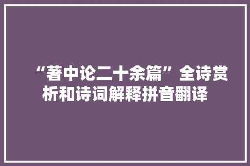 “著中论二十余篇”全诗赏析和诗词解释拼音翻译