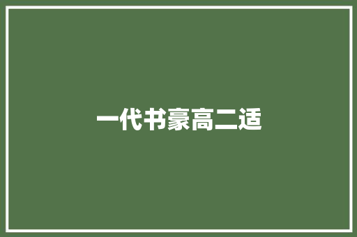 一代书豪高二适
