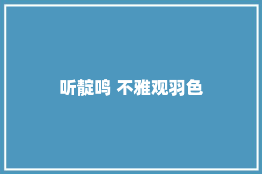 听靛鸣 不雅观羽色