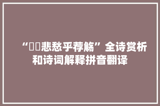 “鶢鶋悲愁乎荐觞”全诗赏析和诗词解释拼音翻译