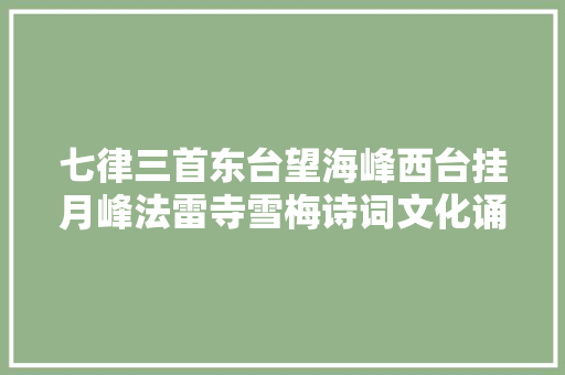 七律三首东台望海峰西台挂月峰法雷寺雪梅诗词文化诵读