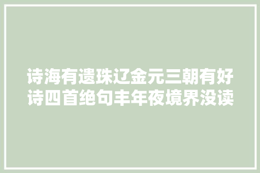 诗海有遗珠辽金元三朝有好诗四首绝句丰年夜境界没读过太可惜