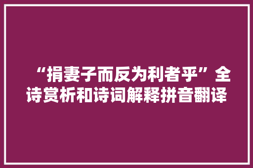 “捐妻子而反为利者乎”全诗赏析和诗词解释拼音翻译