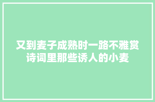 又到麦子成熟时一路不雅赏诗词里那些诱人的小麦