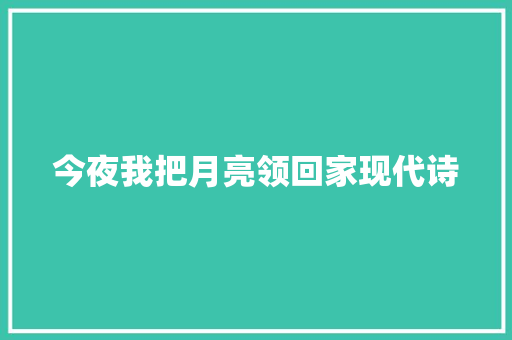 今夜我把月亮领回家现代诗