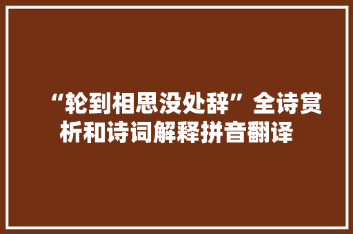“轮到相思没处辞”全诗赏析和诗词解释拼音翻译