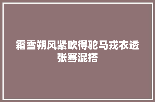 霜雪朔风紧吹得驼马戎衣透张骞混搭