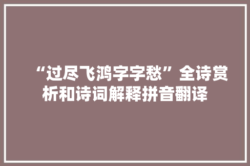 “过尽飞鸿字字愁”全诗赏析和诗词解释拼音翻译