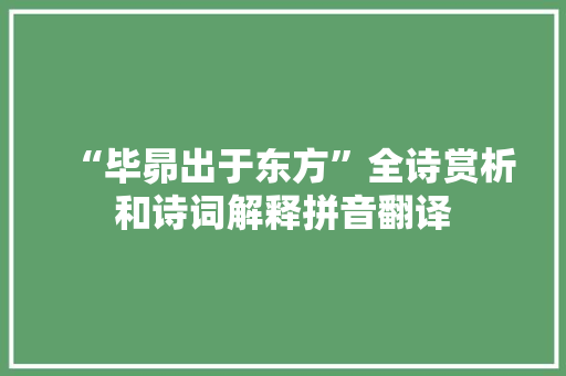 “毕昴出于东方”全诗赏析和诗词解释拼音翻译