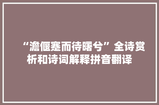 “澹偃蹇而待曙兮”全诗赏析和诗词解释拼音翻译