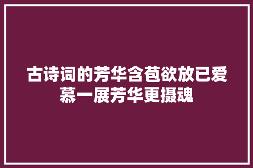 古诗词的芳华含苞欲放已爱慕一展芳华更摄魂