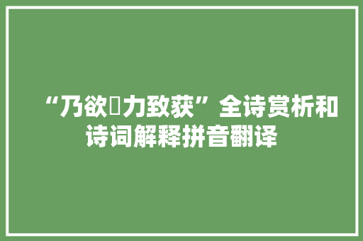 “乃欲勠力致获”全诗赏析和诗词解释拼音翻译
