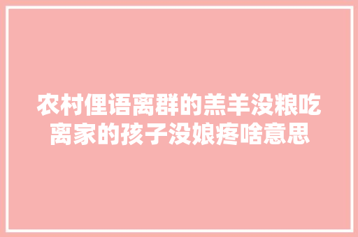 农村俚语离群的羔羊没粮吃离家的孩子没娘疼啥意思