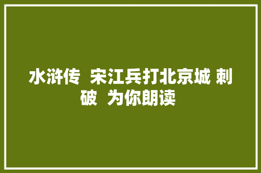 水浒传  宋江兵打北京城 刺破  为你朗读 