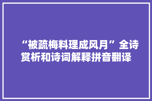 “被疏梅料理成风月”全诗赏析和诗词解释拼音翻译