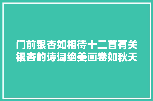 门前银杏如相待十二首有关银杏的诗词绝美画卷如秋天童话