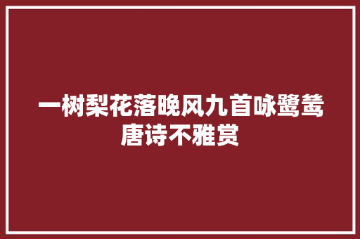 一树梨花落晚风九首咏鹭鸶唐诗不雅赏