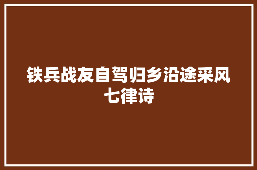 铁兵战友自驾归乡沿途采风七律诗