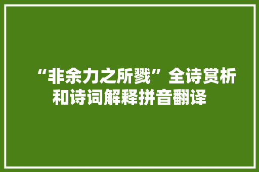 “非余力之所戮”全诗赏析和诗词解释拼音翻译