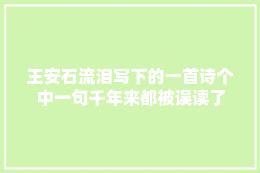 王安石流泪写下的一首诗个中一句千年来都被误读了