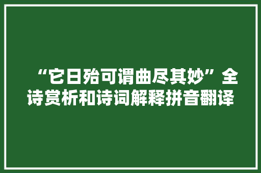 “它日殆可谓曲尽其妙”全诗赏析和诗词解释拼音翻译