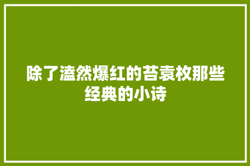 除了溘然爆红的苔袁枚那些经典的小诗