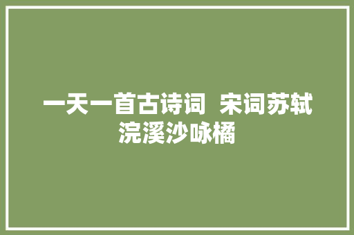 一天一首古诗词  宋词苏轼浣溪沙咏橘