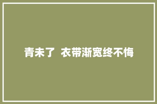 青未了  衣带渐宽终不悔