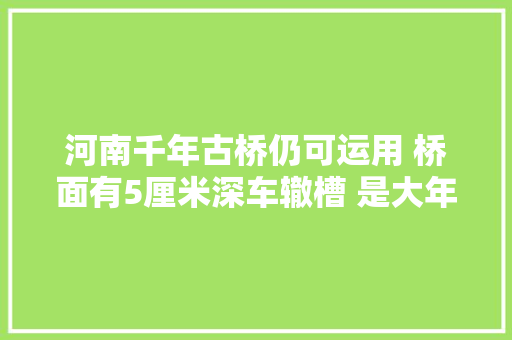 河南千年古桥仍可运用 桥面有5厘米深车辙槽 是大年夜运河历史见证