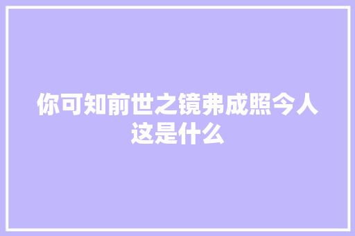 你可知前世之镜弗成照今人这是什么
