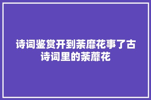 诗词鉴赏开到荼靡花事了古诗词里的荼蘼花