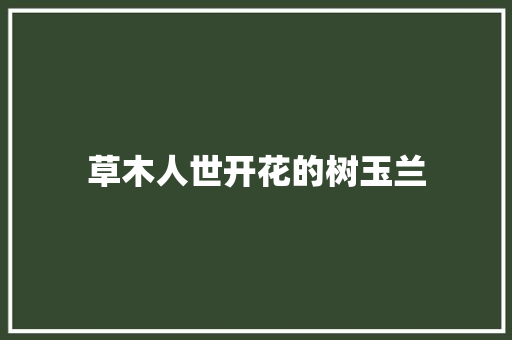 草木人世开花的树玉兰