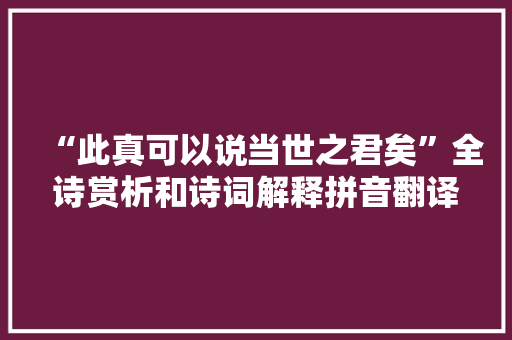 “此真可以说当世之君矣”全诗赏析和诗词解释拼音翻译