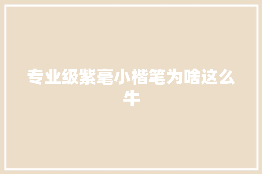 专业级紫毫小楷笔为啥这么牛