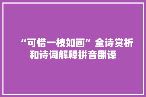 “可惜一枝如画”全诗赏析和诗词解释拼音翻译