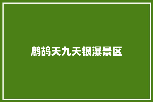 鹧鸪天九天银瀑景区