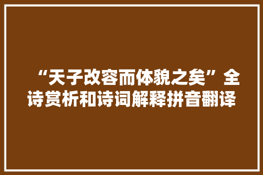 “天子改容而体貌之矣”全诗赏析和诗词解释拼音翻译