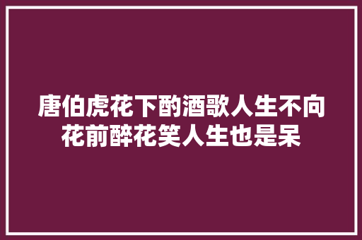 唐伯虎花下酌酒歌人生不向花前醉花笑人生也是呆