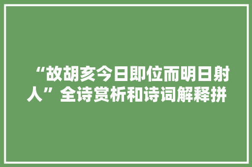 “故胡亥今日即位而明日射人”全诗赏析和诗词解释拼音翻译
