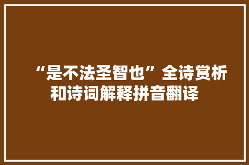“是不法圣智也”全诗赏析和诗词解释拼音翻译