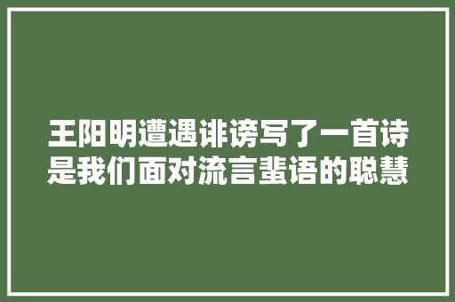 王阳明遭遇诽谤写了一首诗是我们面对流言蜚语的聪慧宝典