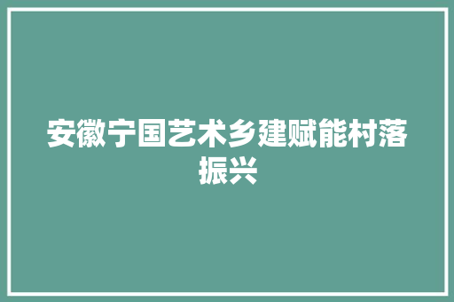 安徽宁国艺术乡建赋能村落振兴