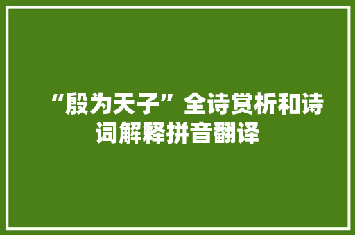 “殷为天子”全诗赏析和诗词解释拼音翻译