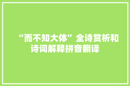 “而不知大体”全诗赏析和诗词解释拼音翻译
